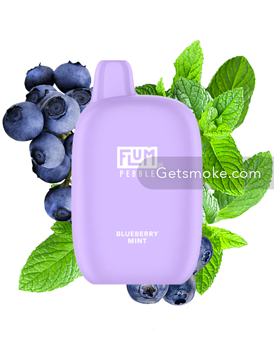 Blueberry Mint Flum Pebble Disposable Vape