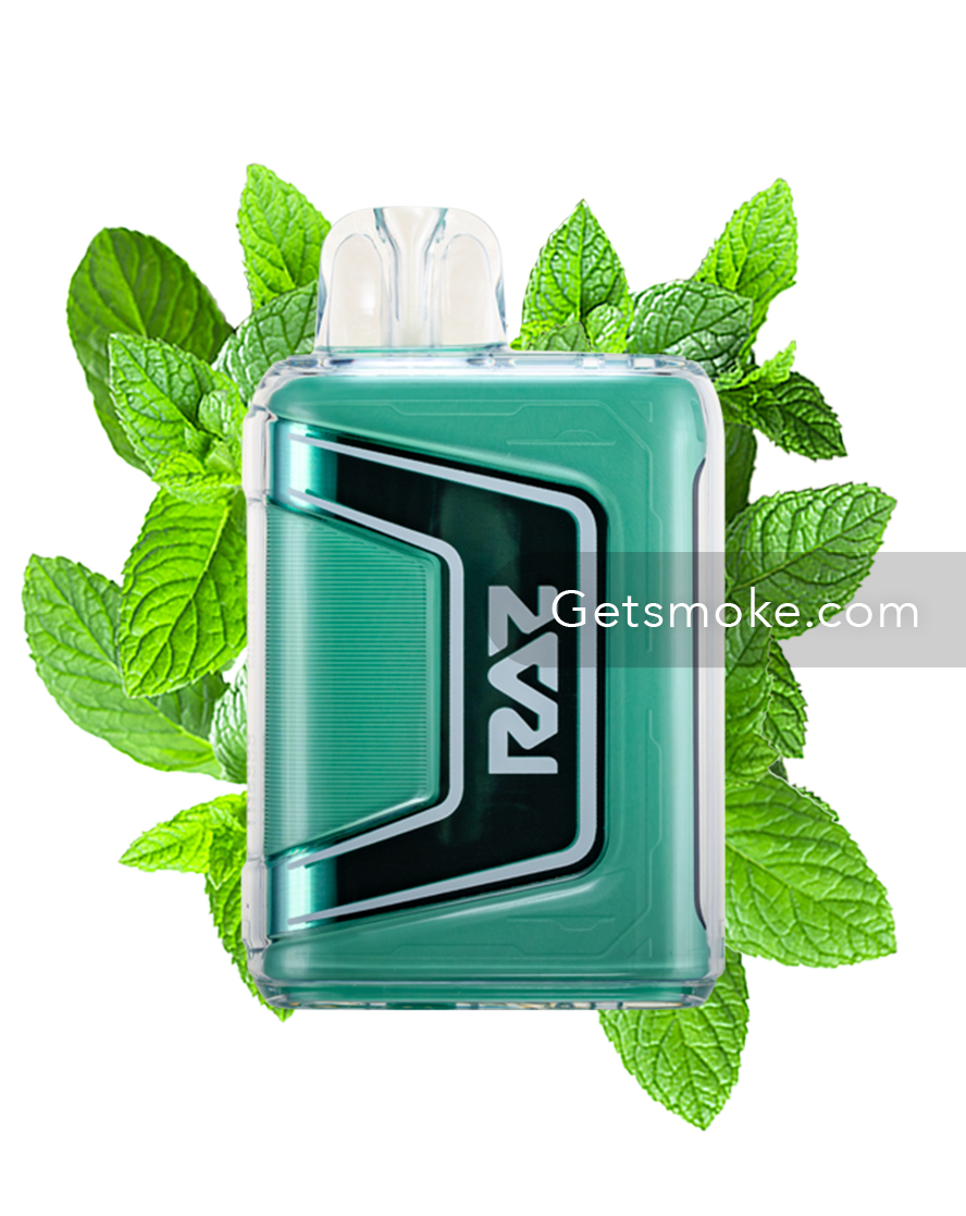 Miami Mint - Geek Vape Raz TN9000