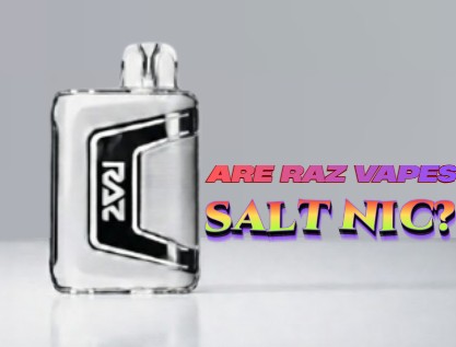 Image for Are Raz Vapes Salt Nic